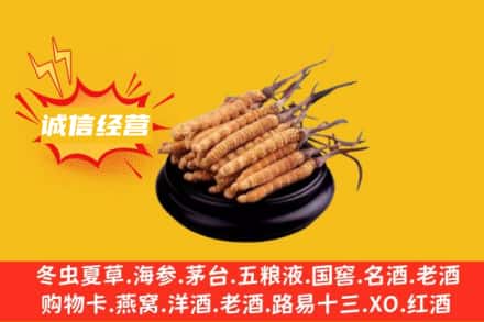 桂林回收冬虫夏草